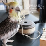 リアルな鳥のオブジェ【BIRDIE BILL】バーディ ビル　ギフト　鳥　リアルアニマルズ